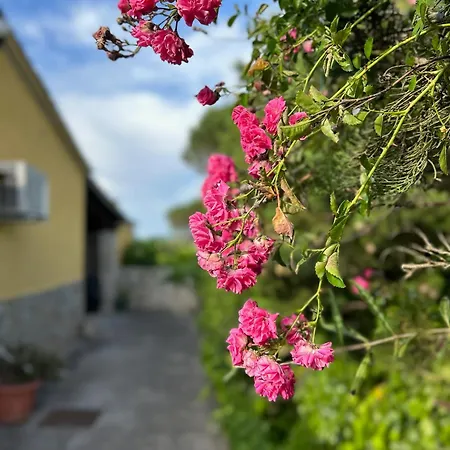 Vila Casa Iako Mont Barbat