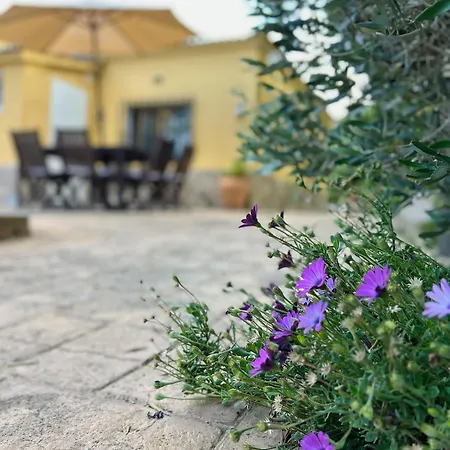 Casa Iako Mont Barbat